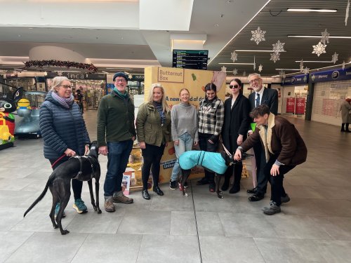 A wonderful doggie story