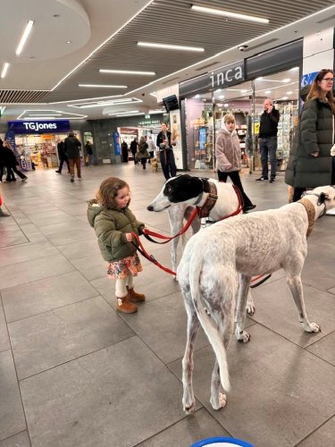 Young dog walker in the making...